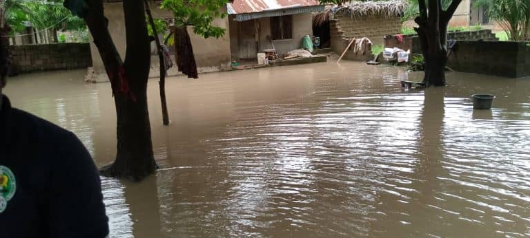 FLOOD: RELOCATE TO HIGHER GROUND, FG URGES BENUE, NIGER RIVERINE COMMUNITIES