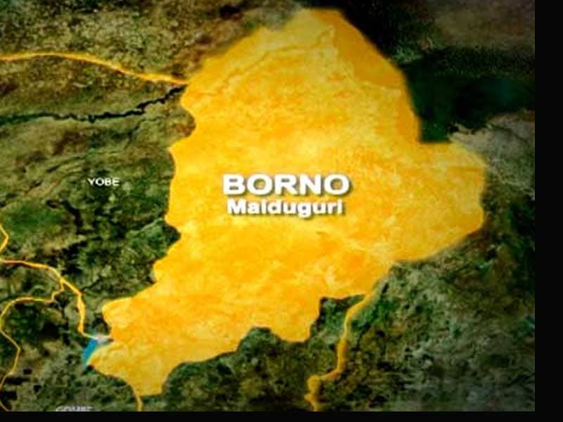 INSECURITY: Police Recover Explosives in Borno