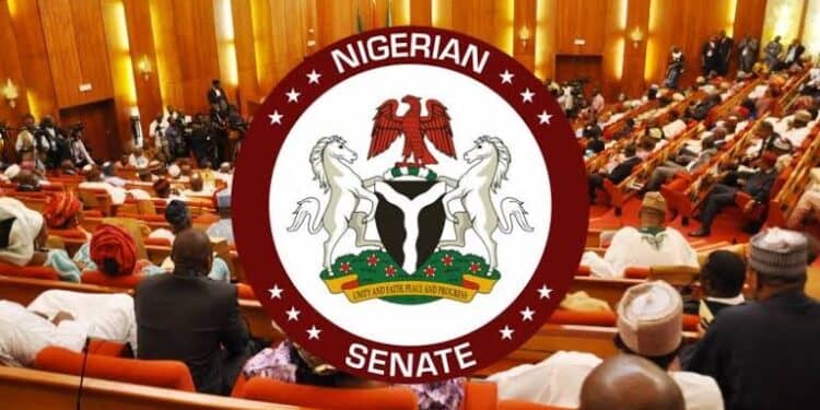 GRID COLLAPSES: SENATE THREATENS TO REPEAL PRIVATISATION POLICY